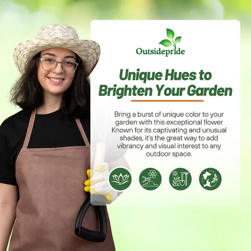 Miniatura 6 de Outsidepride Fruit Twist - Semillas de caléndula – 100 semillas anuales comestibles de flores para plantar para platos y usos de bienestar