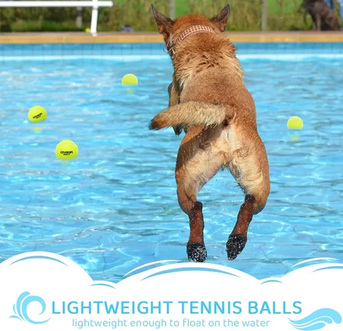 Miniatura 4 de Pelotas de tenis para perros, paquete de 12 unidades, juguetes interactivos chirriantes para entrenamiento, ejercicio, juego en interiores