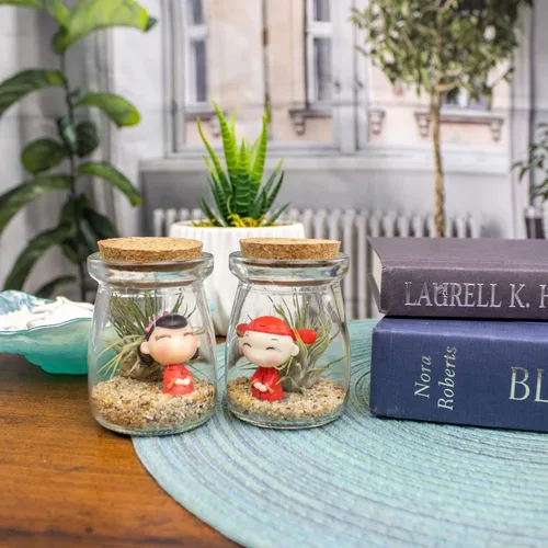 Miniatura 3 de Kit de terrario de 3 pulgadas con mini tarro de vidrio de Tillandsia Ionantha vivo, arena, vidrio marino de colores y figura miniatura para jardines
