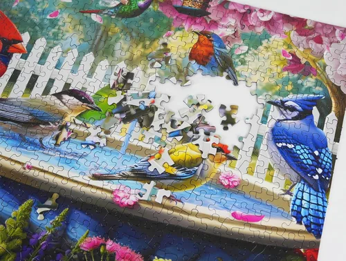 Miniatura 4 de Springbok Birds of Spring - Rompecabezas de 500 piezas para adultos, incluye aves silvestres norteamericanas