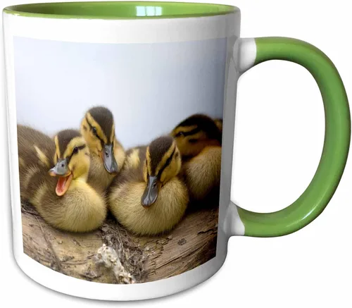 Miniatura 10 de 3dRose Taza de café, tamaño - 11oz - Estados Unidos, Washington, Seattle. Embrague de patos Mallard. Steve Kazlowski - patos - divertido regalo