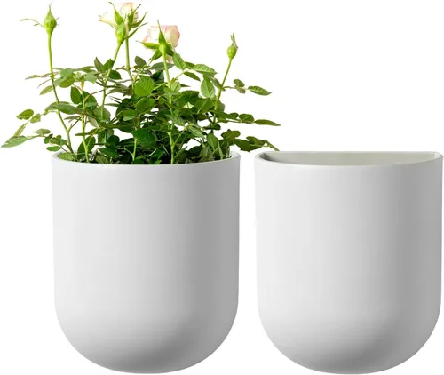 Miniatura 8 de La Jolie Maison Macetas colgantes de pared para plantas de interior, macetas colgantes para plantas de aire suculentas, juego de 2, 6 pulgadas