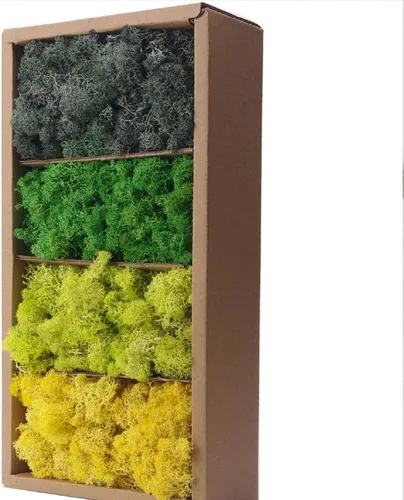 Miniatura 33 de Musgo preservado, musgo de 3.5 onzas para manualidades, decoración de musgo sintético, musgo verde natural para decoración de pared de floristería