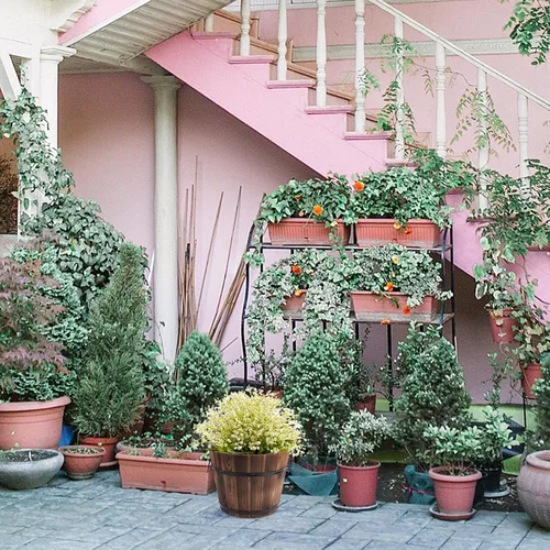 Miniatura 9 de Yardwe Cubos de barril de madera para whisky con asa, maceta de flores, macetas, cajas para cafetería, jardín, plantas hidropónicas
