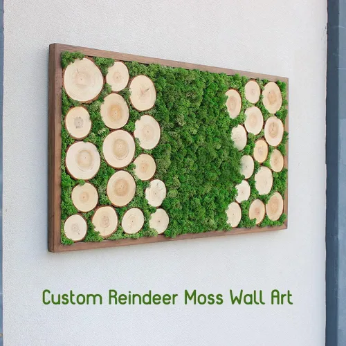Miniatura 3 de Musgo de Reno Preservado Verde Natural Kit de Bricolaje Arte de Jardinería Decoración de Pared Decoración de Floristería Decoración de Mesa