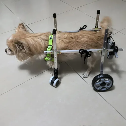 Adjustable Dog Wheelchair for Small Pets, Mobility Aid for Dogs and Cats, 4 Caster Pooch Bike Trailer Cart for Recovery and Support One Color Large