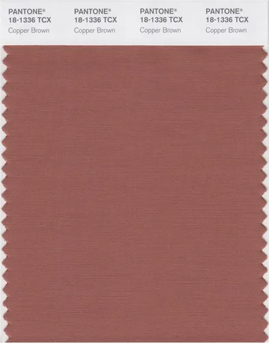 Miniatura 4 de PANTONE Tarjeta de muestra de color inteligente 18-1314X, bellota