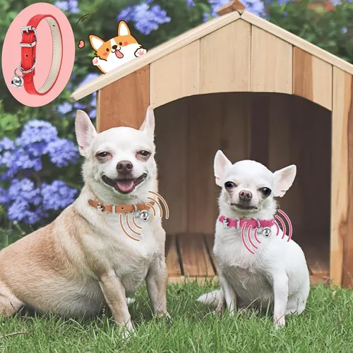 Miniatura 7 de Collar de perro XXS para Teacup, collar de perro Teacup ajustable para perros pequeños, medianos y grandes, 3/8 pulgadas de ancho (blanco, XXS)
