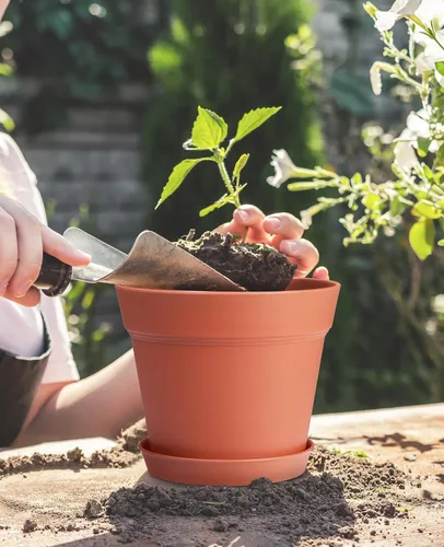 Miniatura 3 de homenote Macetas de 7.5 pulgadas para plantas, macetas de plástico para interiores con múltiples agujeros de drenaje y bandejas, para todas