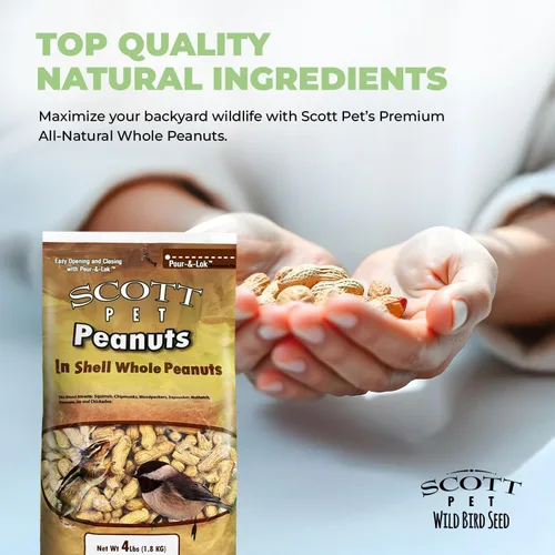 Miniatura 5 de Scott Pet Semillas para Aves Silvestres, Cacahuetes Enteros, Bolsa de 4 libras, Alimento, Gran Fuente de Proteína y Fibra, Cacahuetes para Aves