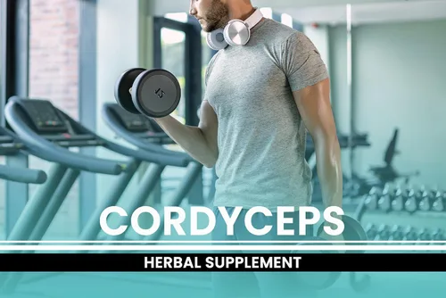 Miniatura 4 de PURE ORIGINAL INGREDIENTS Cordyceps (730 cápsulas) sin magnesio o rellenos de arroz, siempre puro, verificado por laboratorio