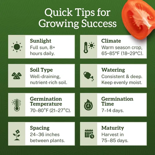 Miniatura 6 de TKE Farms & Gardens - Semillas de tomate Beefsteak para plantar, más de 75 variedades tradicionales sin OMG, cultiva tomates grandes y jugosos