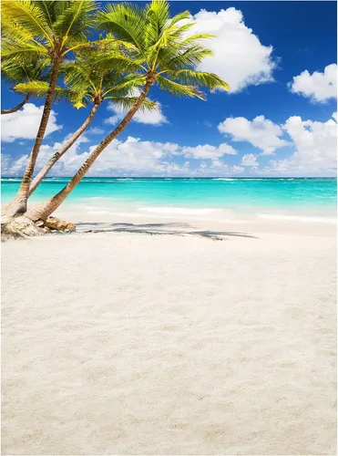 Allenjoy Telón de fondo de playa tropical junto al mar, verano, isla de Hawaii, palmeras, fondo de fotografía para niños y niñas, retrato de