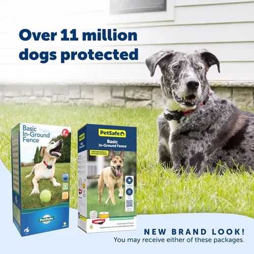 Miniatura 7 de PetSafe Valla Básica Subterránea para Mascotas, Valla Subterránea para Perros, Contención Eléctrica para Mascotas, Collar Impermeable para Perros