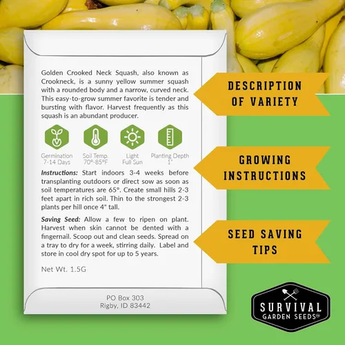 Miniatura 2 de Crookneck - Semillas de calabaza para plantar – Variedad de verano sin OMG – Vegetal de crecimiento rápido de alto rendimiento – Semillas de jardín