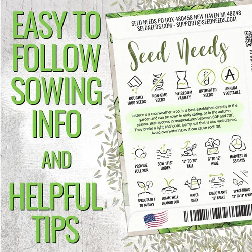 Miniatura 4 de Seed Needs Semillas de lechuga romana para plantar Parris Island COS - Cultivos anuales de clima frío sin OMG y sin tratar, cultiva un huerto al