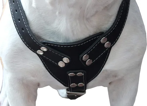 Miniatura 5 de Arnés para perro de cuero genuino negro grande. 30-35 pecho, 1.5 correas anchas Pitbull, Boxer
