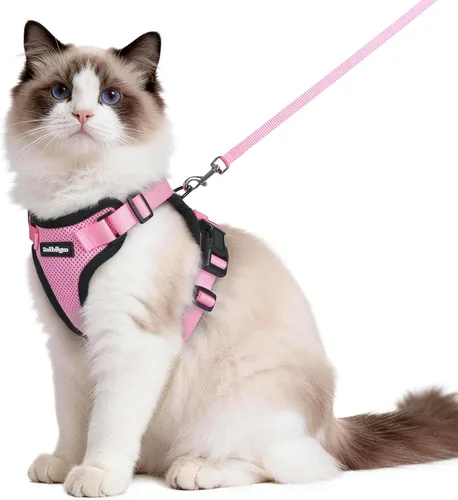 Miniatura 19 de rabbitgoo Juego de arnés y correa para gatos, arnés a prueba de escapes para paseos seguros al aire libre, chaleco suave transpirable ajustable