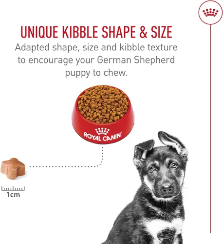 Miniatura 4 de Royal Canin Alimento Seco para Cachorros de Pastor Alemán Específico para la Raza, bolsa de 30 lb