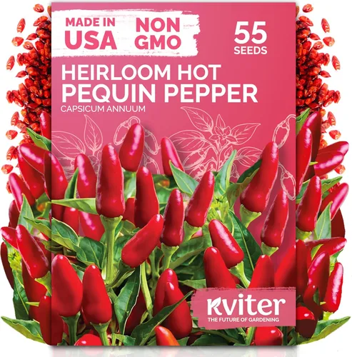 Miniatura 16 de KVITER 3100 semillas de zanahoria tiernas para plantar (Daucus carota) - Semillas de vegetales sin OMG para jardín al aire libre - Zanahorias dulces