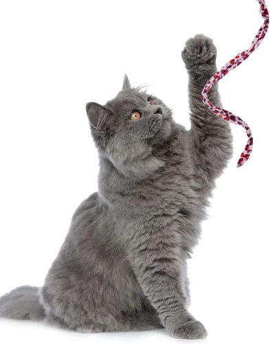 Miniatura 5 de Sumind 3 piezas de varita de gato de la selva para gato, teaser encantador, juguetes interactivos divertidos varita gatito juguete, 3 estilos