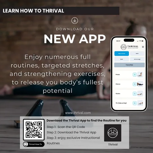 Miniatura 4 de Thrival - Herramienta de liberación muscular completamente ajustable para psoas, flexor de cadera, espalda, glúteo, iliaco y cuello para liberación