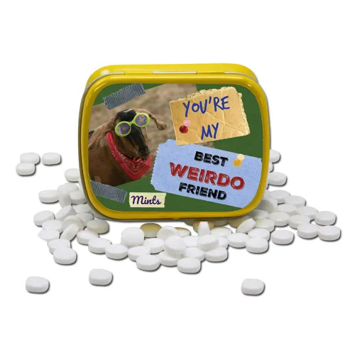 Miniatura 4 de You're My Best Weirdo Friend Mints – Divertido diseño de cabra de menta – Caramelos novedosos para amigos – Mentas de aliento de gaulteria, sin