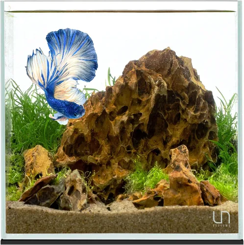 Miniatura 37 de UNS Acuario Ultra Claro Sin Borde - 25.6GAL 97.2L - 23.62x14.17x17.71 60x36x45 CM, Grosor de Vidrio de 6mm, Incluye Alfombrilla Nivelante