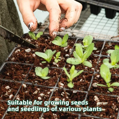Miniatura 3 de 3 Cuartos de Galón de Perlita para Suelo de Plantas - Enmienda para Tierra de Macetas, Mejora el Drenaje y la Aireación del Suelo, Mejor