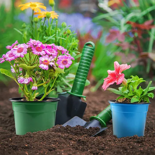 Miniatura 4 de Oubest Paquete de 30 macetas de plástico para plantas de 5 pulgadas con agujeros de drenaje, flores multicolores, trasplante de plántulas