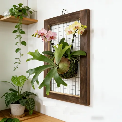 Miniatura 6 de Kit de montaje de helecho cuerno de ciervo, maceta colgante de pared de madera para orquídeas y jardín vertical, tablero de soporte para plantas