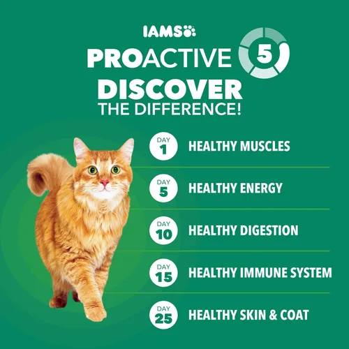 Miniatura 5 de Comida seca para gatos senior saludable IAMS Proactive Health con pollo, bolsa de 3.5 lb