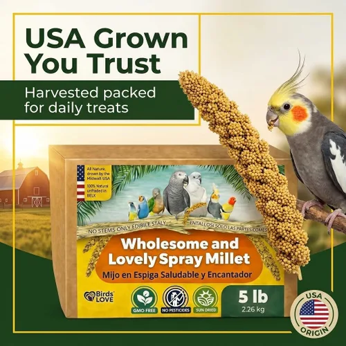 Miniatura 5 de Birds LOVE Mijo en aerosol saludable de 1 libra para pájaros, cultivado en Estados Unidos, natural secado al sol, racimos gruesos ricos en semillas