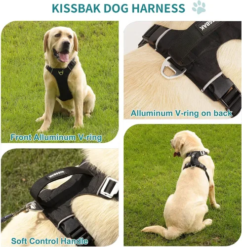 Miniatura 6 de Arnés para perro sin tirones con asa, fácil de caminar, 2 clips para correa, 3 hebillas sin estrangulamiento, acolchado suave para perros pequeños