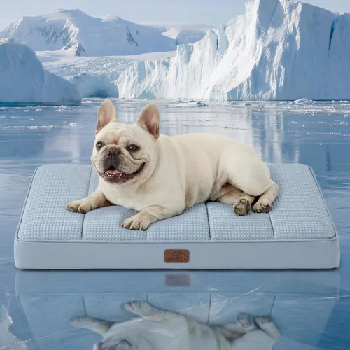 Miniatura 43 de Bedsure Camas para Perros Tamaño Grande - Cómodas Camas Planas para Mascotas con Funda Lavable Extraíble, Alfombrilla de Espuma Ortopédica