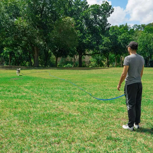 Miniatura 7 de Hi Kiss Correa de Entrenamiento de Obediencia y Agilidad para Perros/Cachorros - 15 pies 20 pies 30 pies 50 pies 100 pies - Ideal para Jugar