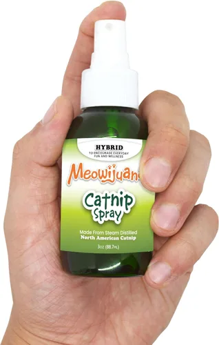 Miniatura 5 de Meowijuana Spray de hierba gatera de alta calidad, fórmula de alta potencia, fórmula natural para dueños de mascotas y hogares con varios gatos