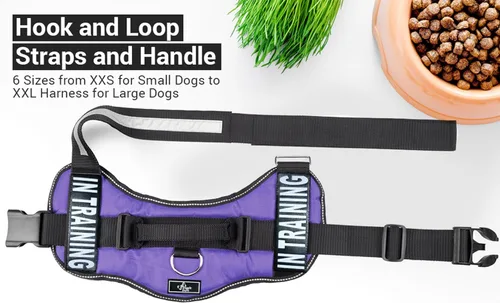 Miniatura 5 de Chaleco de entrenamiento para perros de servicio, arnés ajustable sin tirones con parches. Chaleco de entrenamiento para perros de servicio
