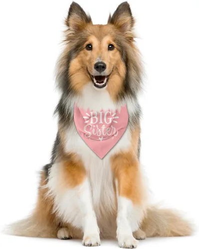 Bandana para perro Big Sister, accesorios de bufanda rosa para mascotas, bufanda triangular para perros pequeños y medianos, bandana para perros con