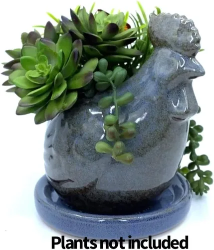 Maceta de pollo, gallo, flores suculentas coloridas para decoración de macetas artificiales para interiores y exteriores, 7 x 6 pulgadas (azul)