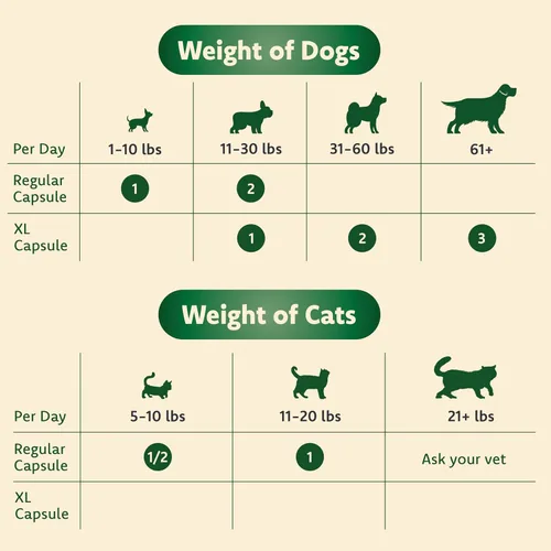 Miniatura 7 de Ocu-GLO Suplemento PB Vision para perros medianos y grandes: mezcla de polvo fácil de administrar con luteína, ácidos grasos omega-3, extracto