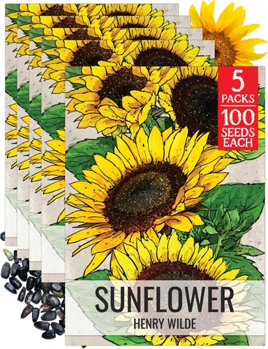 Miniatura 19 de Seed Needs Semillas de girasol para plantar girasoles de manchas solares enanas, semillas de flores de corte anual de polinización abierta