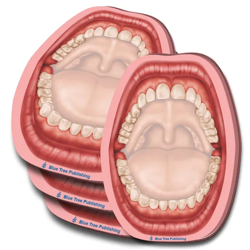 Miniatura 24 de Notas Adhesivas de Anatomía