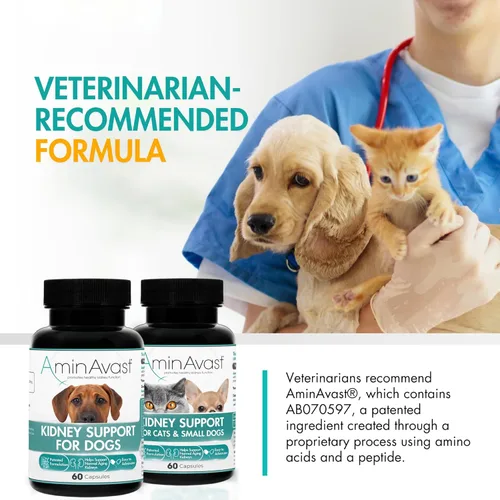 Miniatura 8 de AminAvast Apoyo renal para perros pequeños y gatos - Promueve el apoyo renal saludable en gatos y perros pequeños - 300 mg, 60 cápsulas