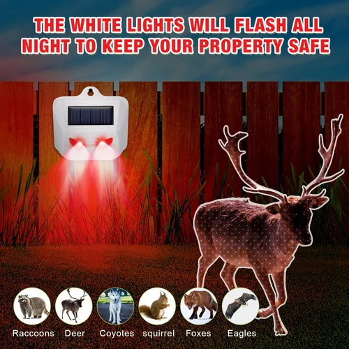 Miniatura 5 de Qualirey Paquete de 12 unidades de luz de control solar, repelente de animales nocturnos, dispositivos disuasorios para exteriores, sensor de luz