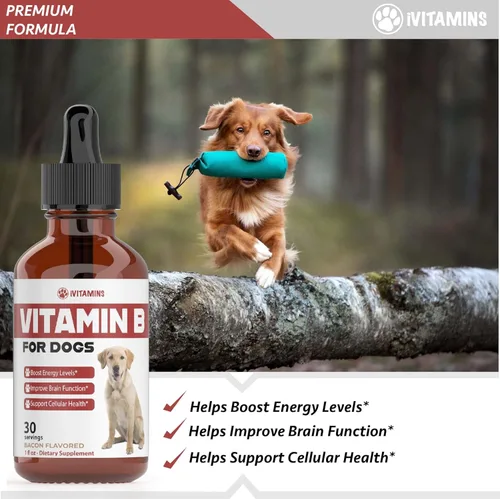 Miniatura 3 de Vitamina B para perros – Complejo de vitamina B para perros – Apoya la energía saludable, el apetito, la vista y mucho más – Vitaminas para perros
