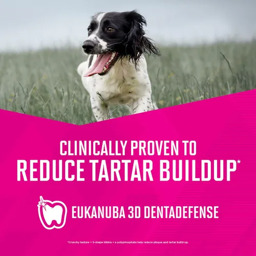 Miniatura 4 de Eukanuba Alimento húmedo enlatado para perros adultos con cordero y arroz, lata de 13.2 onzas (12 unidades)