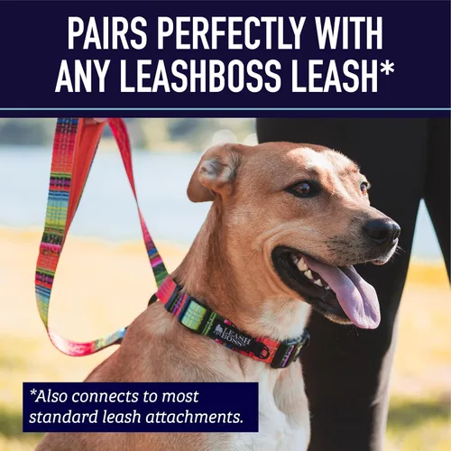Miniatura 9 de Leash Boss Collar Martingale para perros – Cadena de acero Collar de nailon reflectante para perros grandes, medianos y pequeños Collar de Azul