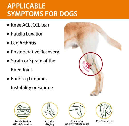 Miniatura 3 de Rodillera para perro para desgarro de ACL, soporte CCL para patas traseras/traseras con arnés y correas antideslizantes de ajuste ajustable, suave
