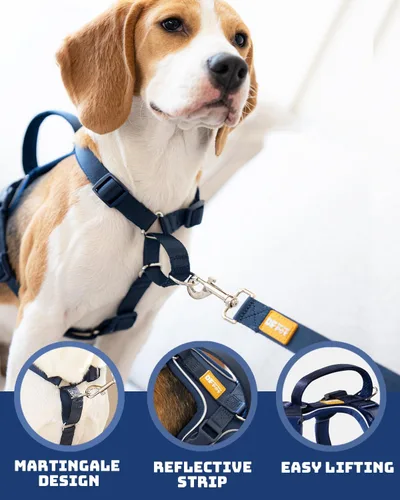 Miniatura 2 de DF Freedom - Juego de arnés y correa para perro, arnés ajustable con clip frontal con mango reflectante y acolchado, fácil para caminar y entrenar